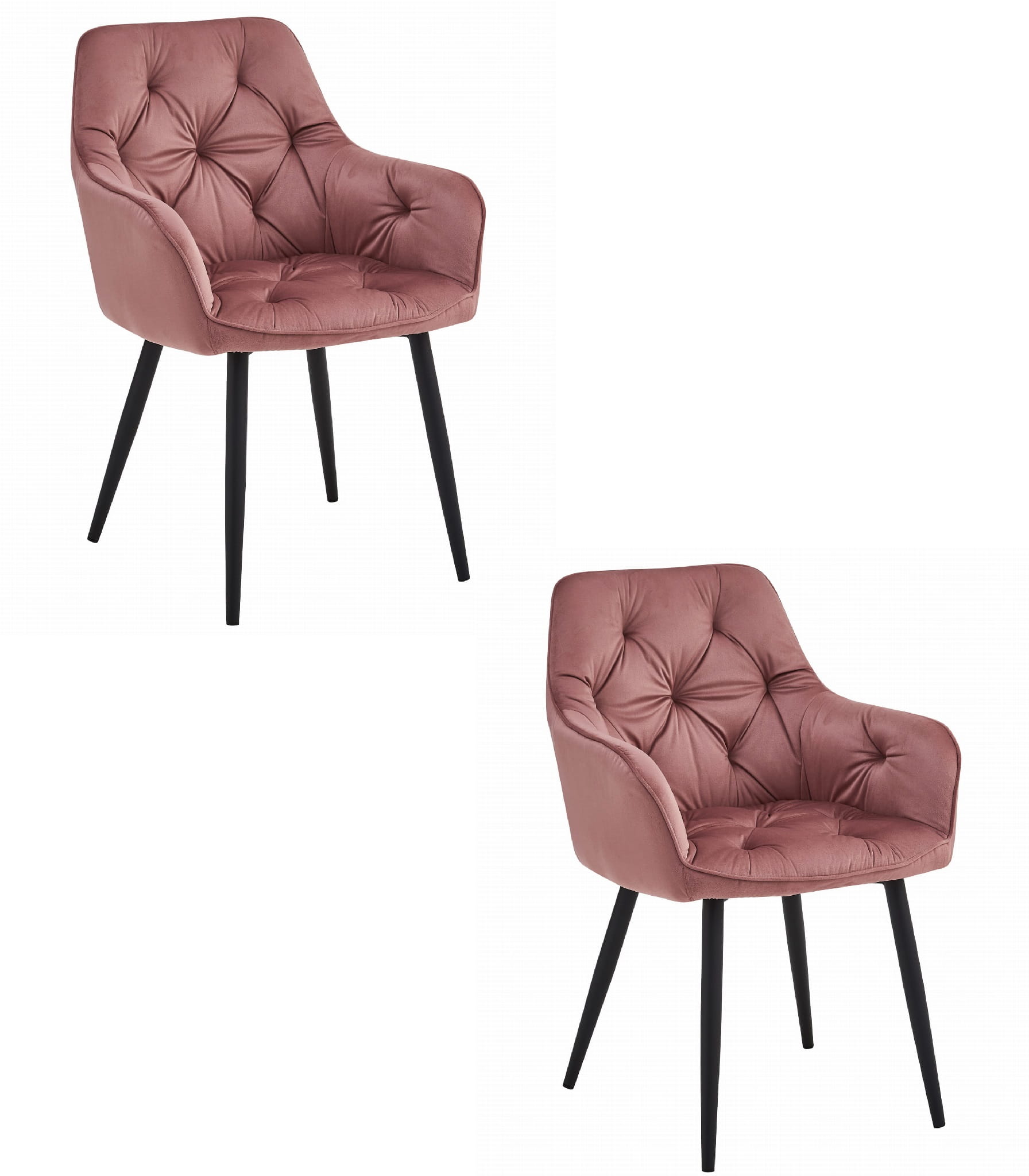 2er-Set Stuhl JORK in Rosa-Samt mit schwarzen Beinen